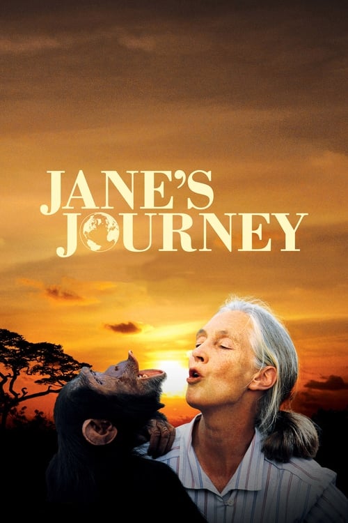 Grootschalige poster van Jane's Journey