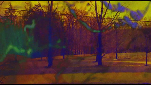 Joose Psychedelia Test