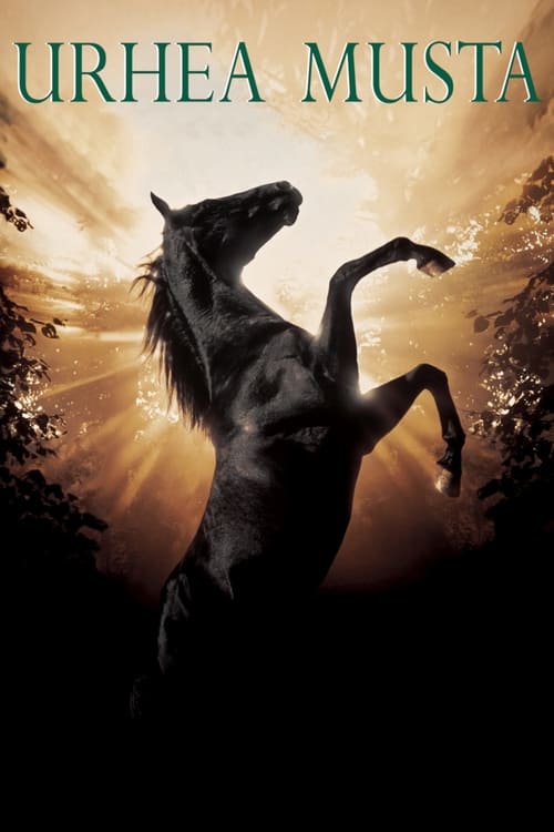 Black Beauty poster