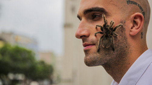 Beyond Magic with DMC