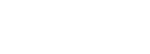 A Cinderella Story: Christmas Wish