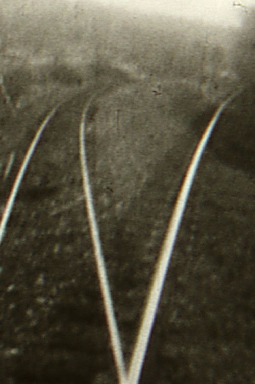 Travels and Dreams: Grey Area II (1987) poster