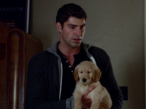 Assistir Rookie Blue S02E04 – 2×04 – Legendado