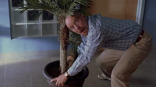 Breaking Bad: A Química do Mal: 3×4