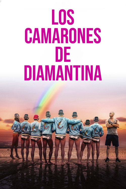 The Shiny Shrimps poster