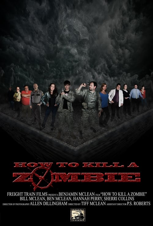 How to Kill a Zombie (2014) poster