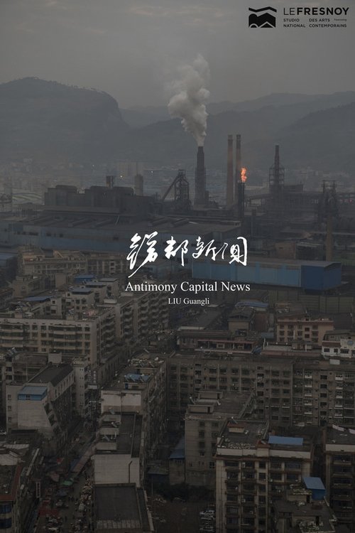 锑都新闻 movie poster player