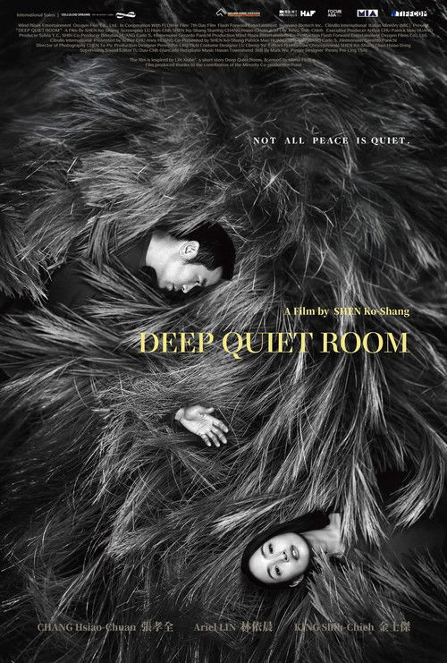 Deep Quiet Room poster