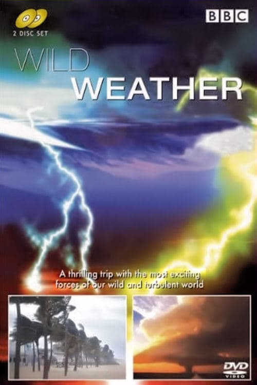 Poster Wild Weather