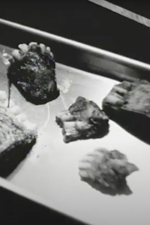 A Primer for Dental Extraction