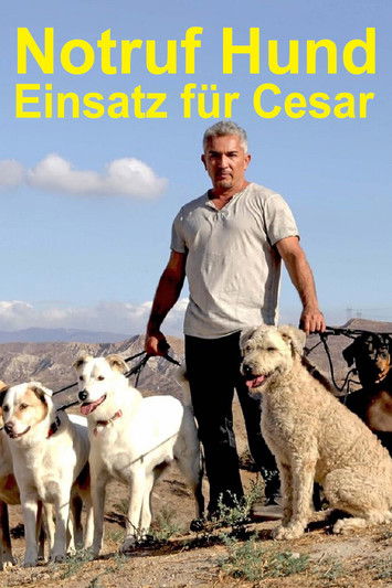 Escena 5 de Cesar 911