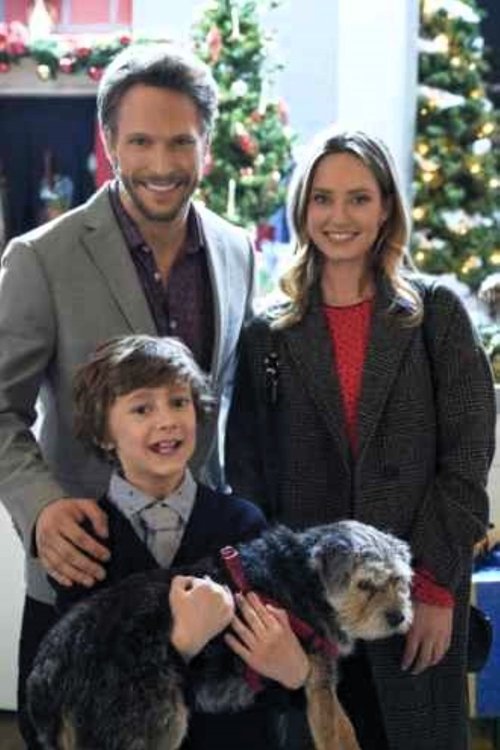 Picture a Perfect Christmas poster