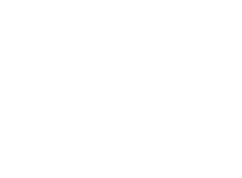 Ashes of Love