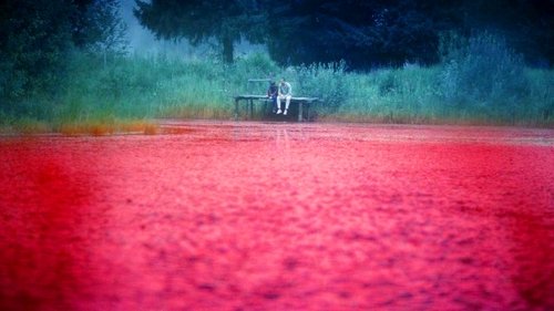 Image de l'épisode 16
