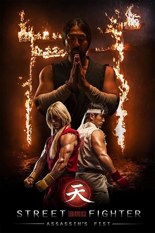 Street Fighter : Assassin's Fist 2014