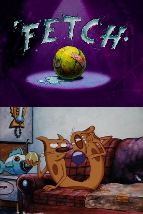 Fetch movie poster player