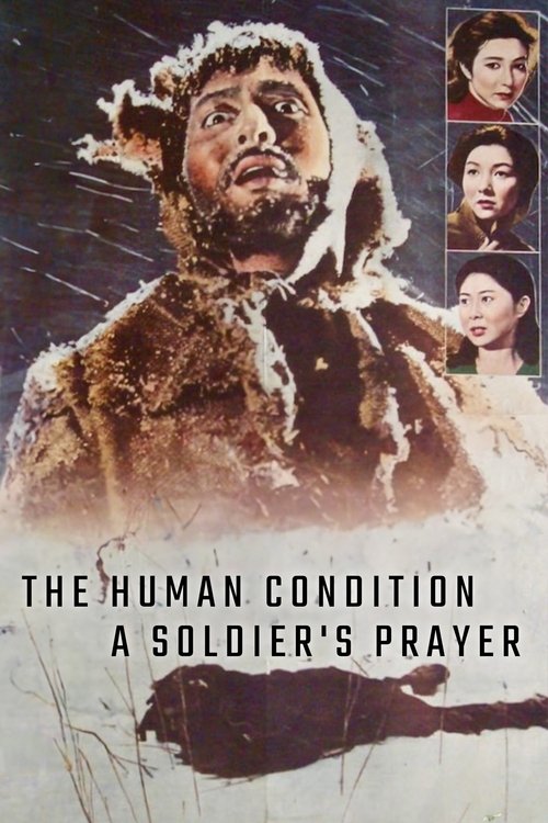 Poster 13