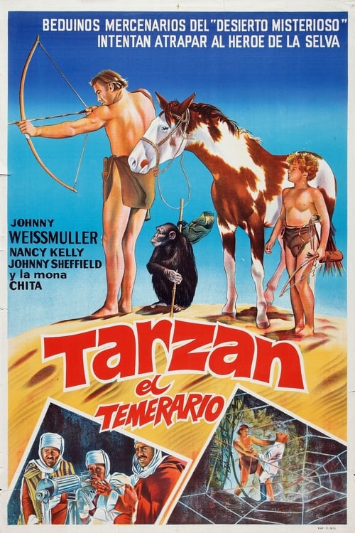 Tarzan's Desert Mystery poster