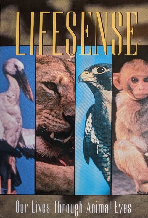 Lifesense (1991)