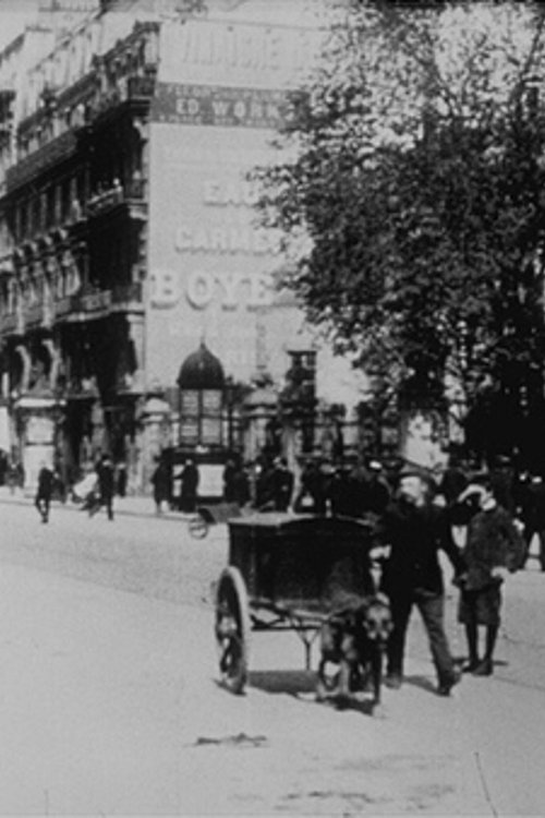 Boulevard Anspach movie poster player