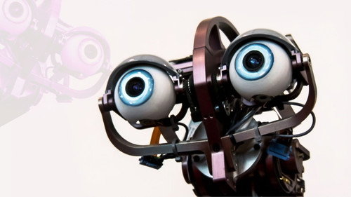 The Horizon Guide to AI