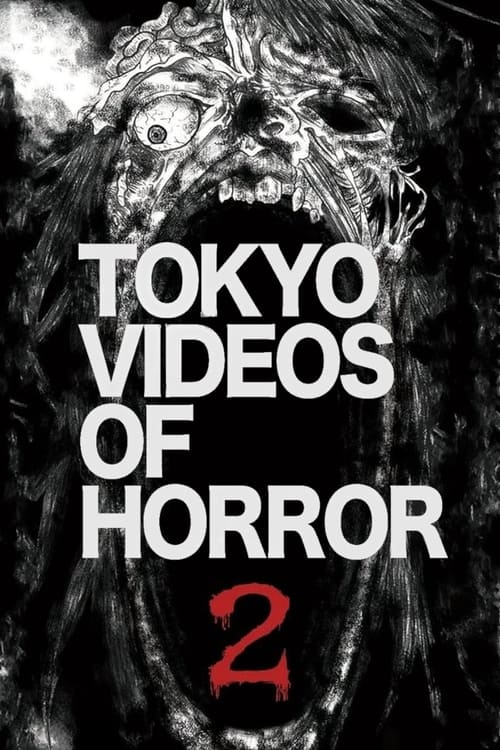 Tokyo Videos of Horror 2 Movie Poster Image