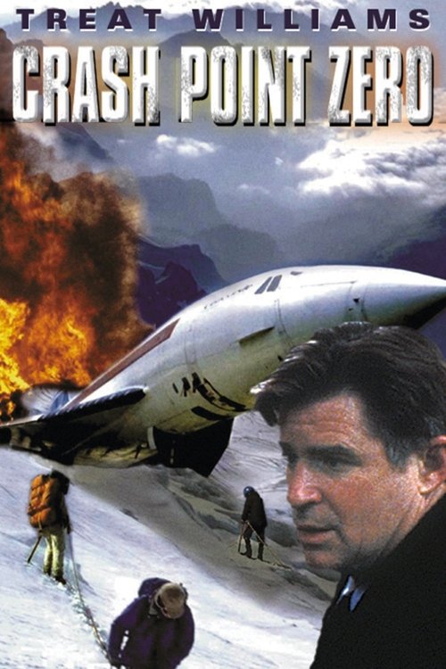 Poster 3