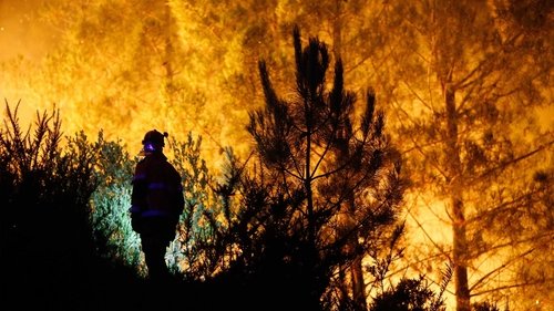 Image de l'épisode 238