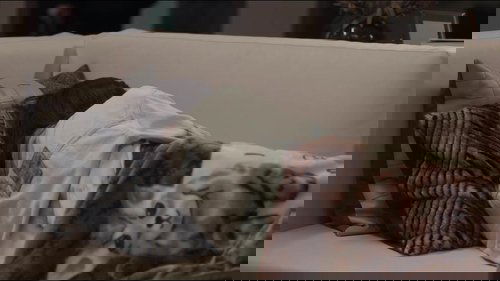 Image de l'épisode 12