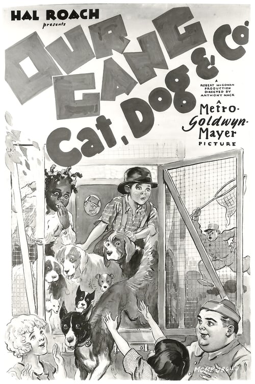 Poster Cat, Dog & Co. 1929