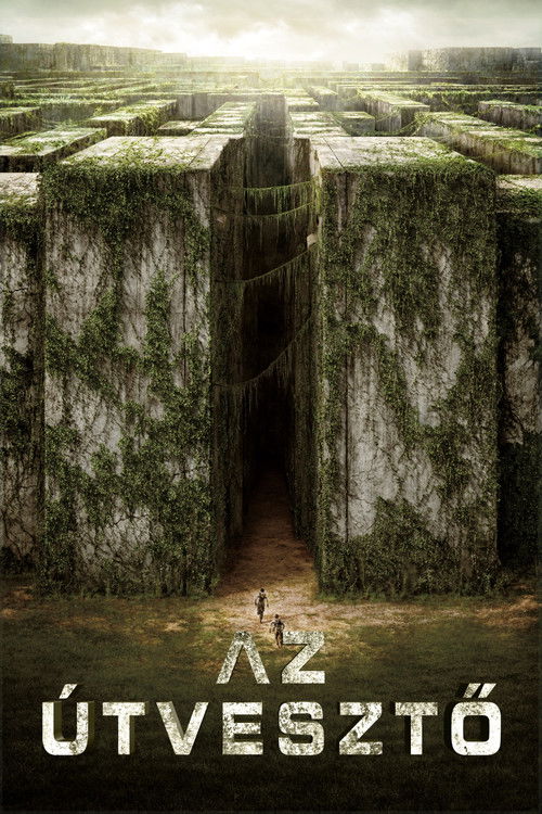 The Maze Runner poster