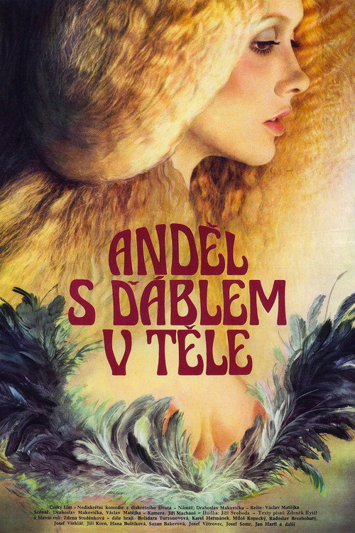 Angel in a Devil's Body poster