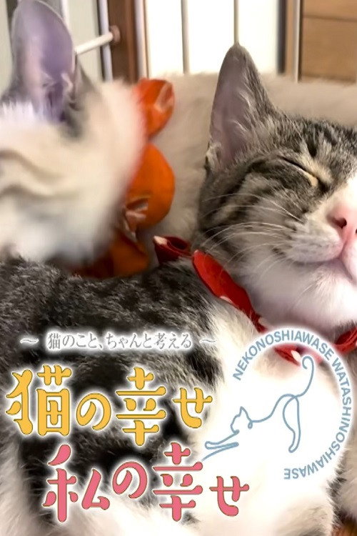 猫の幸せ 私の幸せ