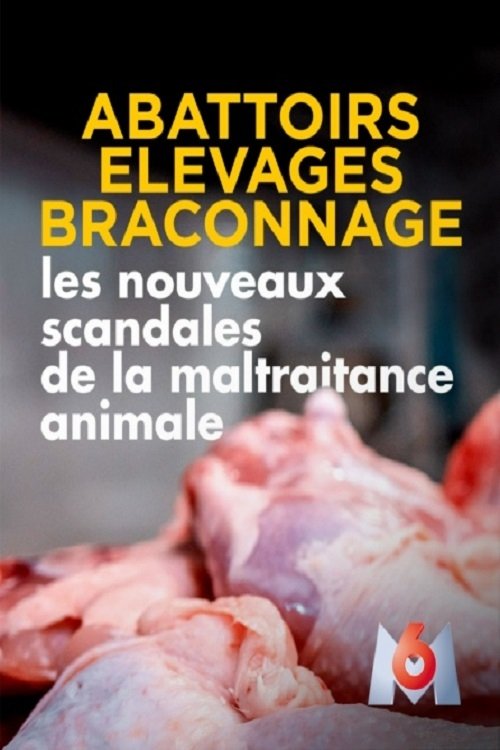 Abattoirs, élevages, braconnage, les nouveaux scandales de la maltraitance animale movie poster player