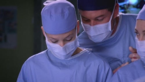 Grey's Anatomy - Season 5 - Episode 8: These Ties That Bind