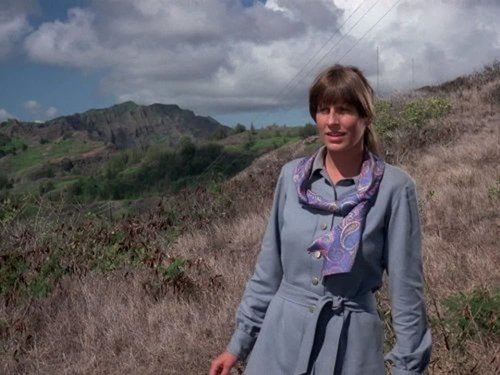 Escena del episodio 20 de la temporada 8 de la serie Hawaii 5-0
