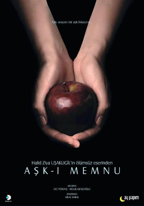 Aşk-ı Memnu (2008)