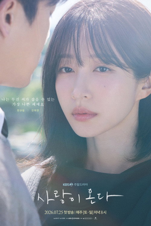 Poster (Koreanisch)