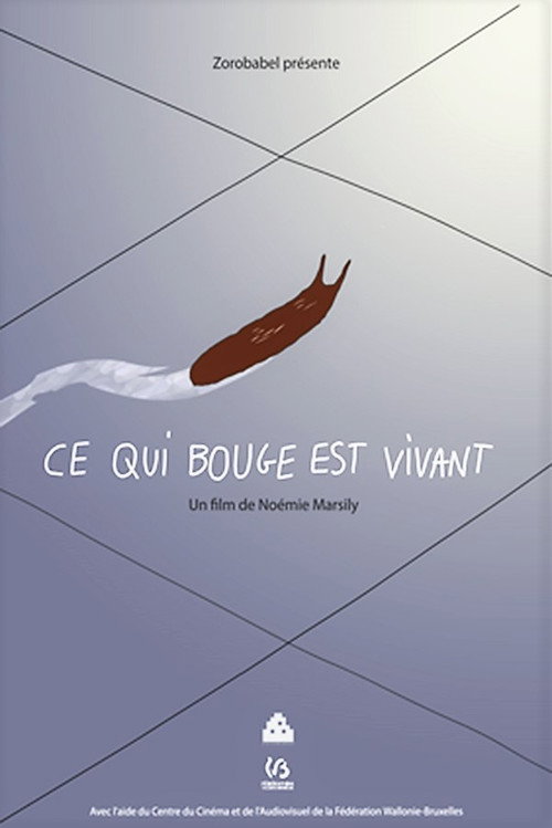 Image du film