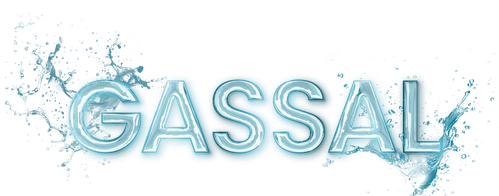 Gassal logo
