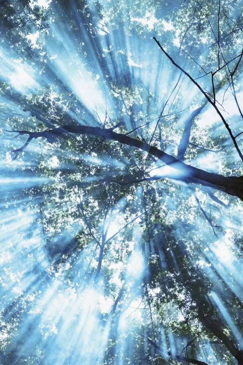 大魔王