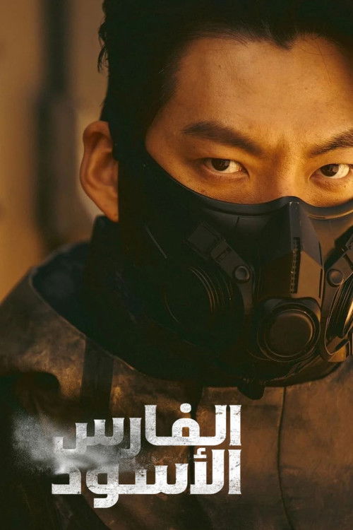 الفارس الأسود - Poster