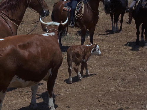 Escena del episodio 3 de la temporada 1 de El virginiano