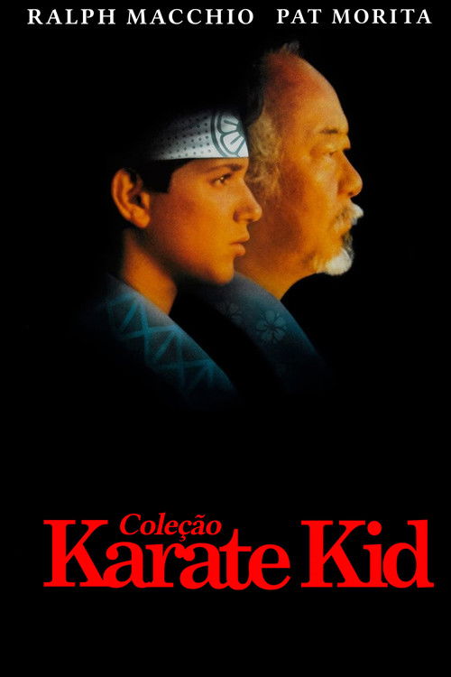 Pòster de Karate Kid - Col·lecció