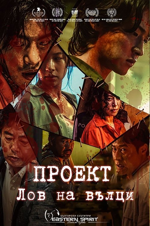 Posters