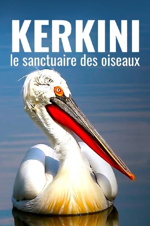 Kerkini: The Bird Sanctuary (2021)