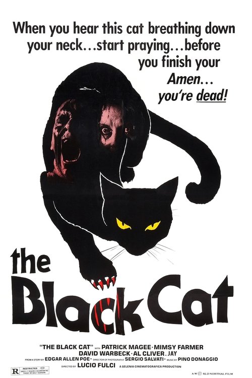 The Black Cat 1981