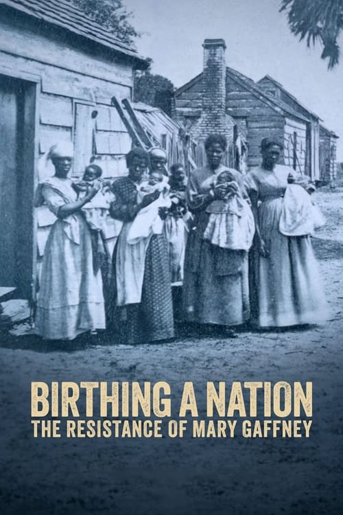 Birthing a Nation: The Resistance of Mary Gaffney (2023) poster