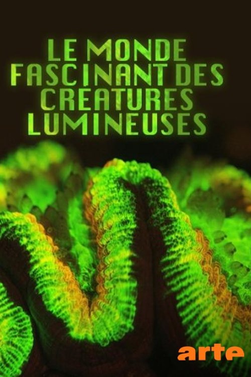 Le monde fascinant des créatures lumineuses Poster