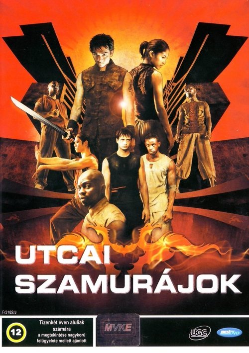 Utcai szamurájok - Yamakasi 2 movie poster player